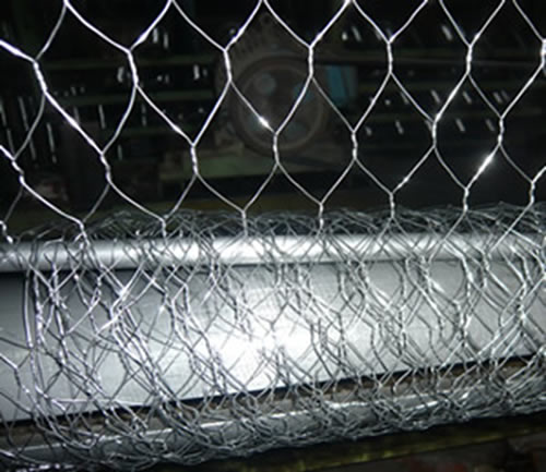 Poultry Wire Netting