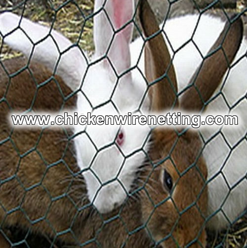 Hexagonal Hole Poultry and Rabbit Netting