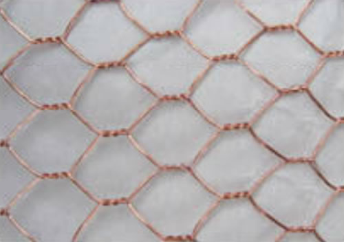 Lanney Chicken Wire Fencing Mesh 16.9inX32.8ft, 0.6'' Fences Hexagonal Silver, Size: 16.9 inch x 32.8 ft