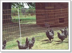 Order Chicken Coop & Poultry Netting Solutions - US Netting