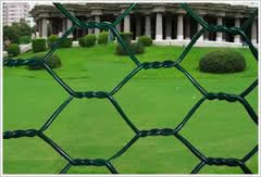 PVC Coated Wire Twisted Chicken Netting