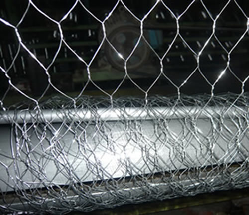 Specifications of stainless steel cable mesh - Stainless Steel