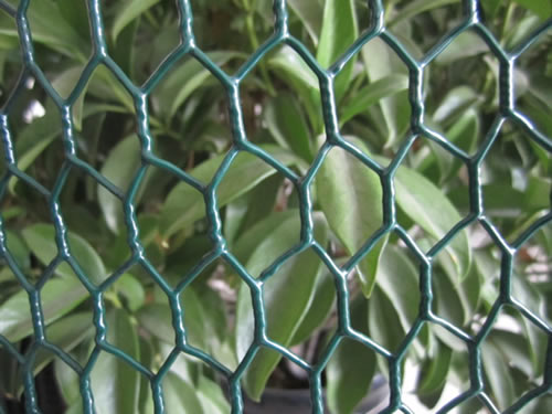 green vinyl coated fencing